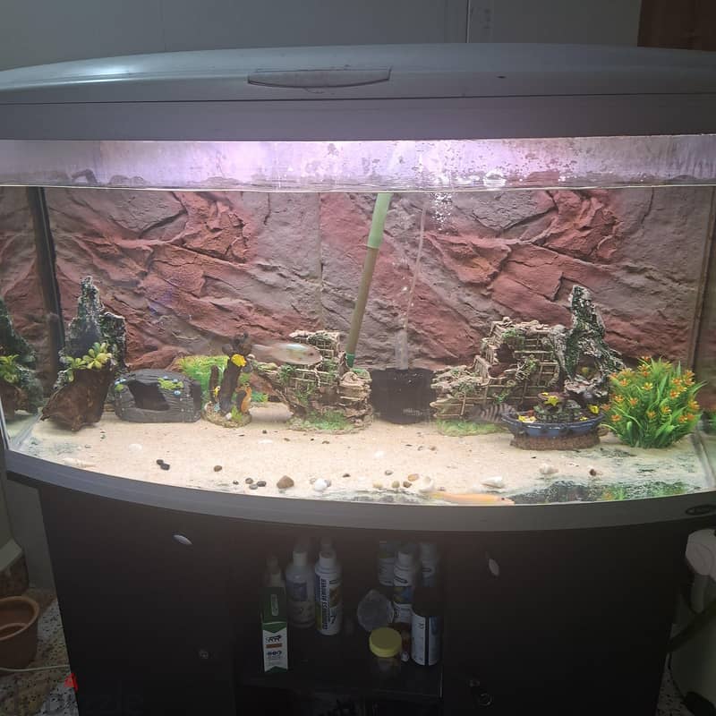big tank 3