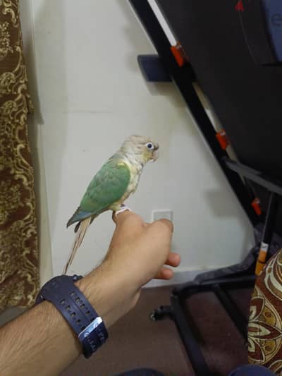 اقرأ الوصف