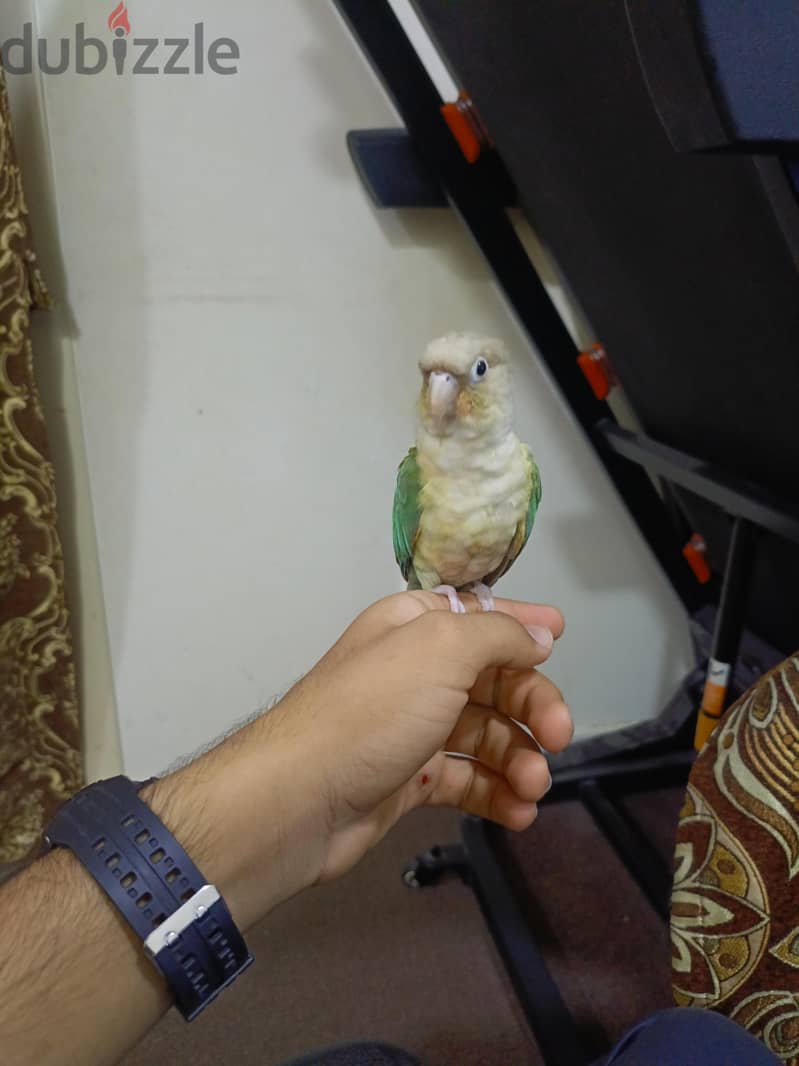 اقرأ الوصف 1