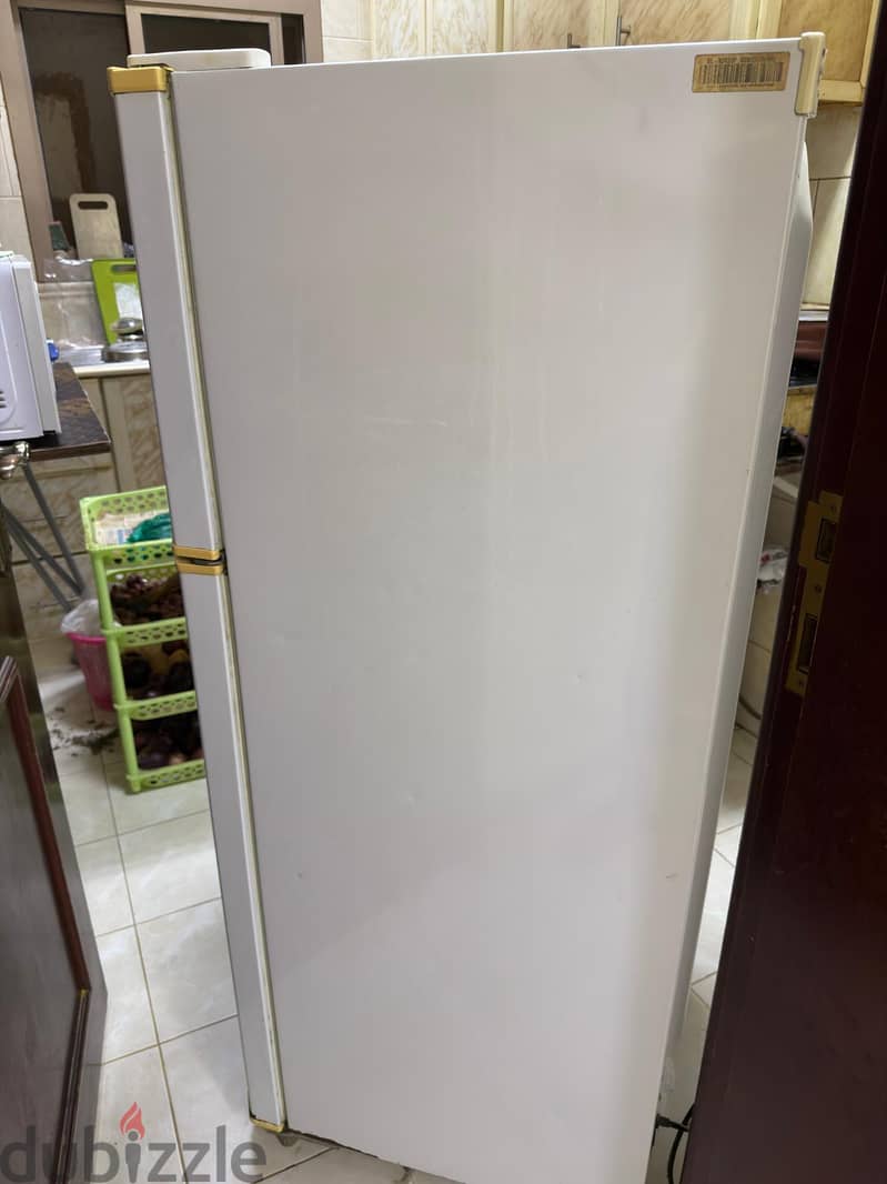 LG 246 LTRS, EXPRESS COOL 1