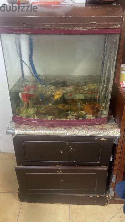 Aquarim