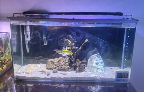 Aquarium for sale