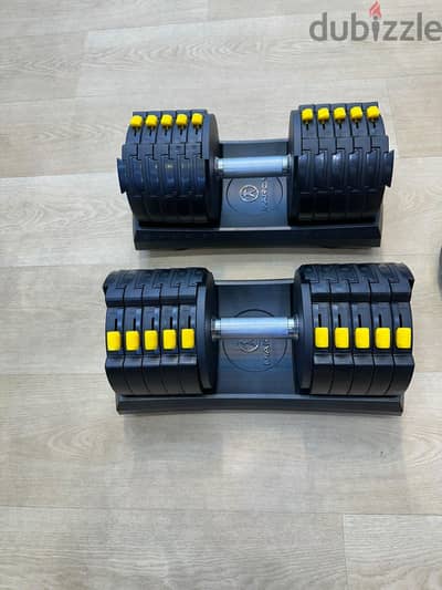 adjustable heavy weights for sale almost like new condition