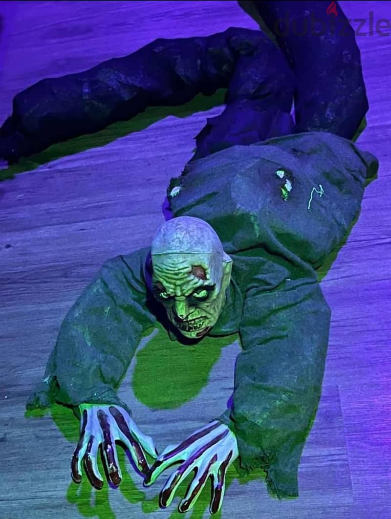 Halloween decoration & costumes bd19 1