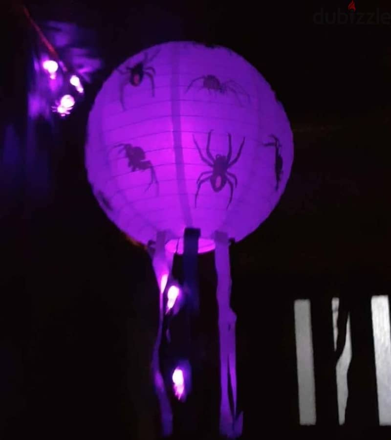 Halloween decoration & costumes bd19 2