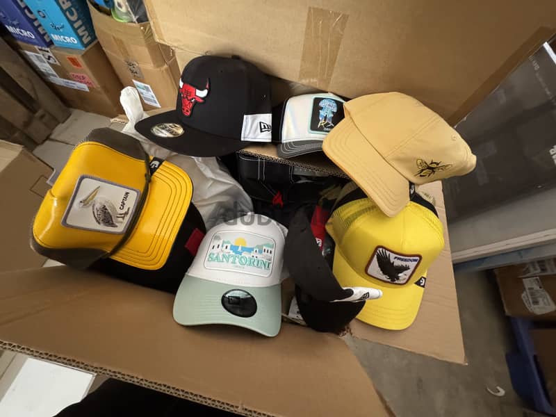 Animal caps for 5 bd each 1