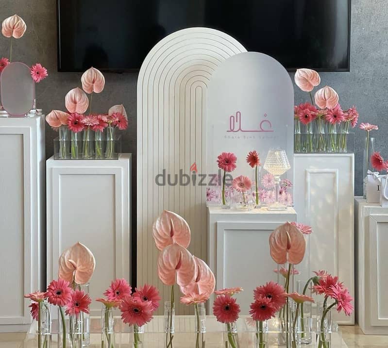 Gypsum & Paint Work Available 14