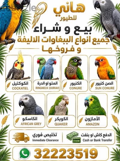 نشتري جميع أنواع الطيور