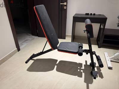 Exercise Bench