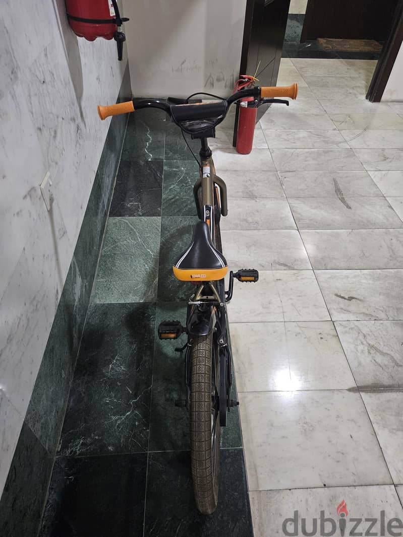 TREK Jet 20" 2