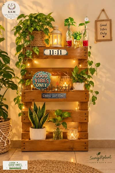 cozy plant corner with lavish accessories