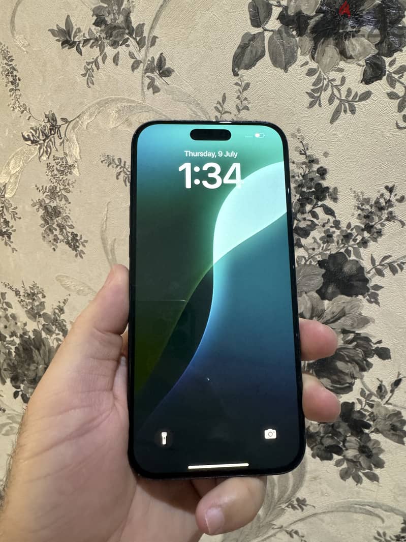 16 Pro max 256Gb 89% 1