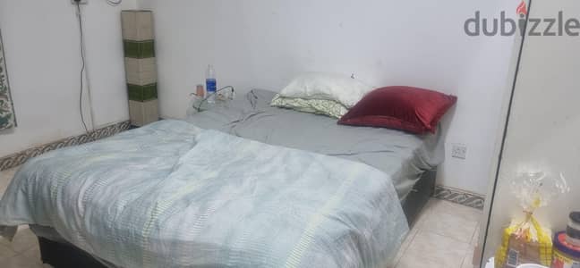 Sarch for room mate  female and male