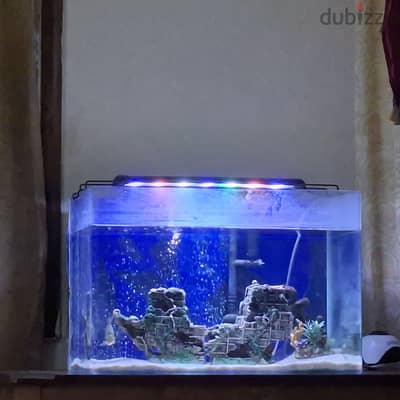 sale for tank