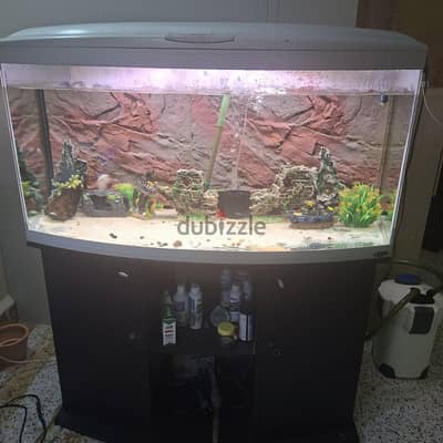 only tank for sale