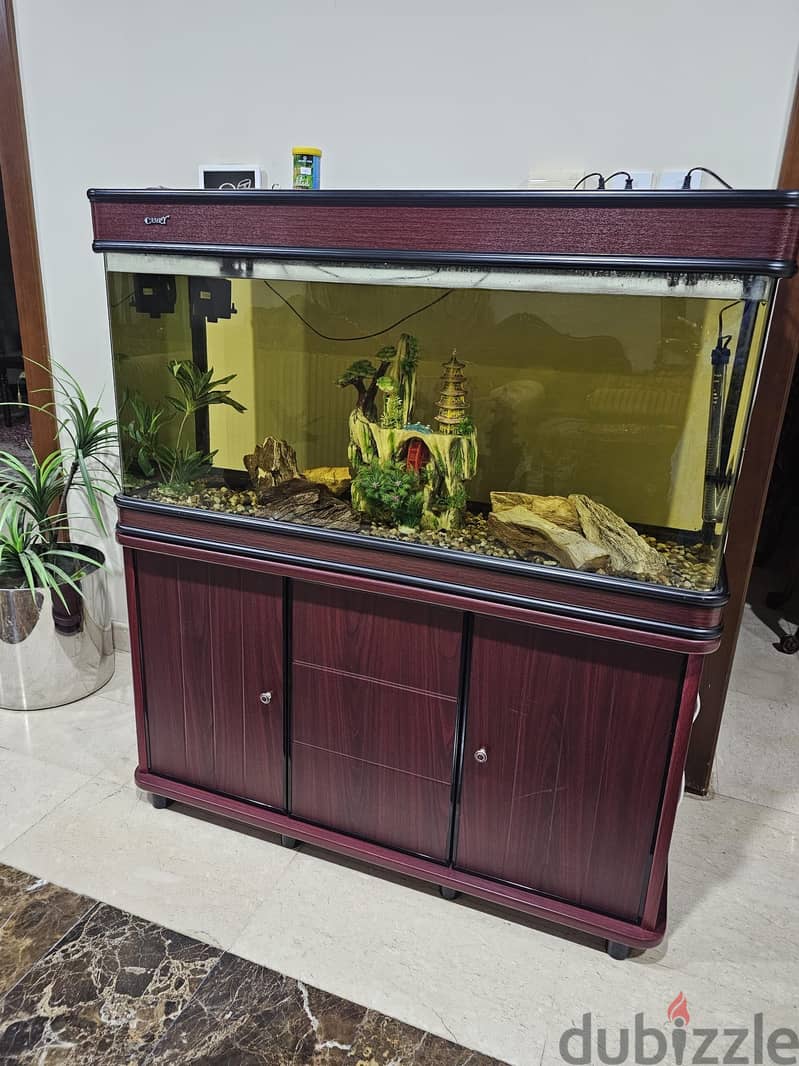 Aquarium 1