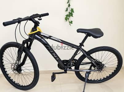 Super bicycle 29”