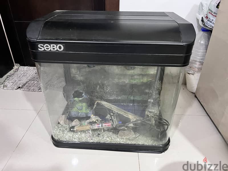 Fish tank 2