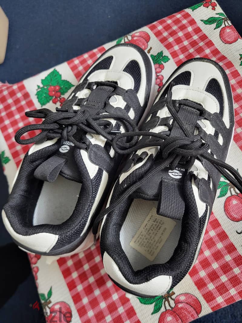 shoes with Wheels 4