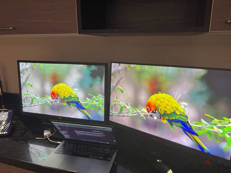 Dual Monitors for Sale (Acer + LG) شاشتين للبيع 1