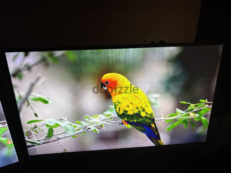 Dual Monitors for Sale (Acer + LG) شاشتين للبيع 4