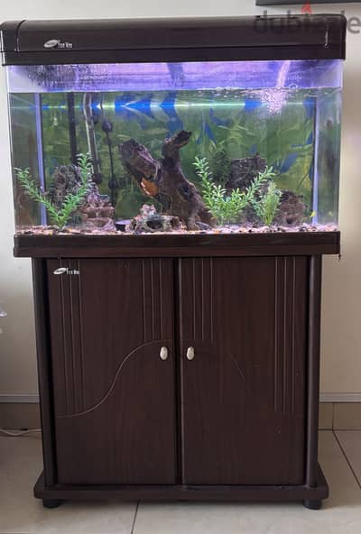 Aquarium with Canister filter