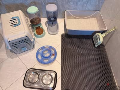 Full Cat accessories
