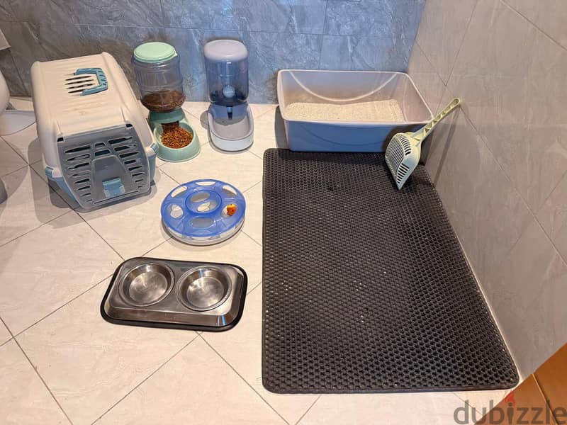 Full Cat accessories 1