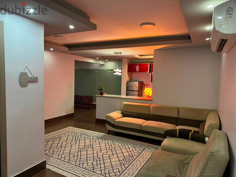Fully Furnished Luxury 1BHK for you 4