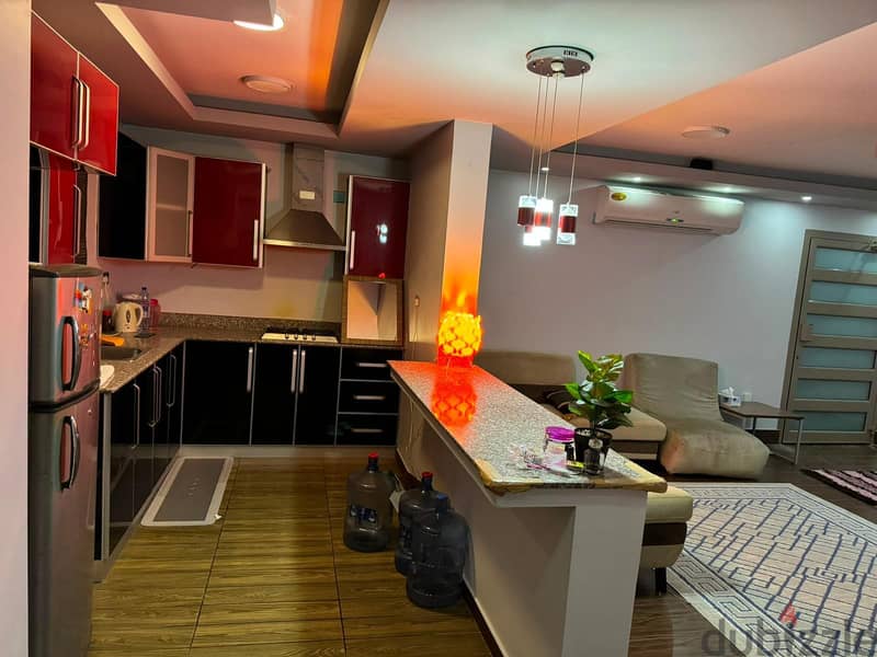 Fully Furnished Luxury 1BHK for you 7