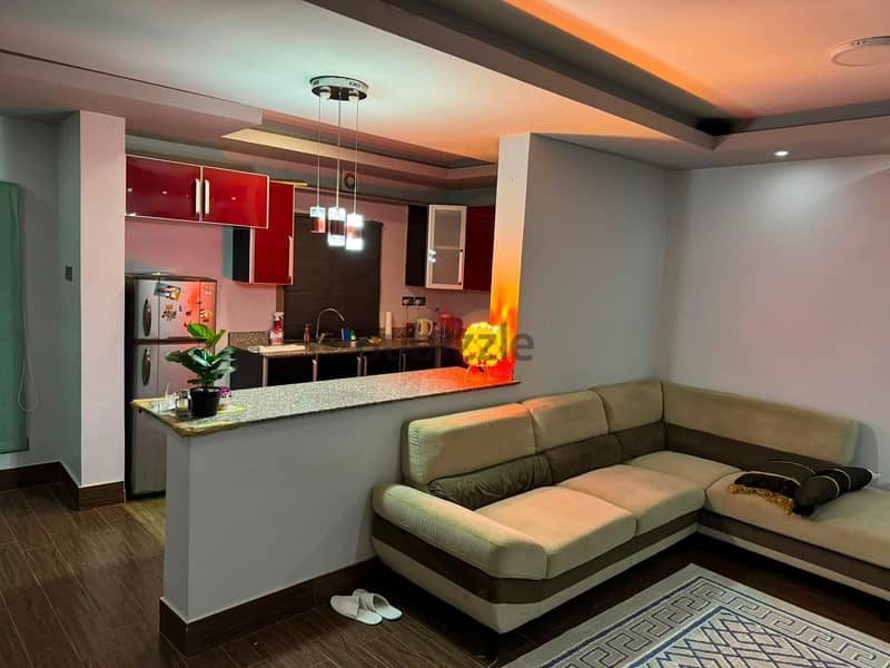 Fully Furnished Luxury 1BHK for you 8