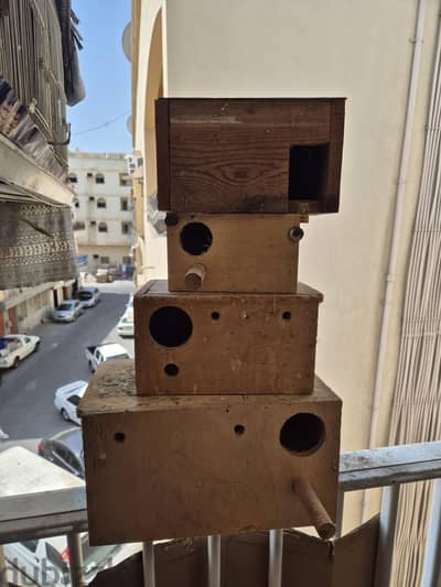 nest box for birds