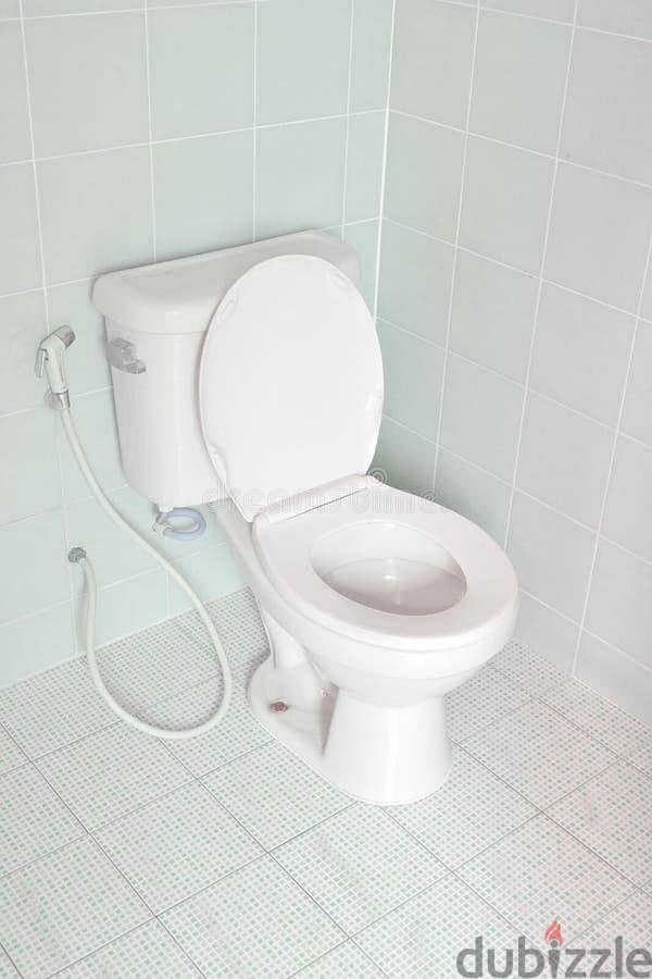 plumber electrician carpenter paint tiles fixing all work 2