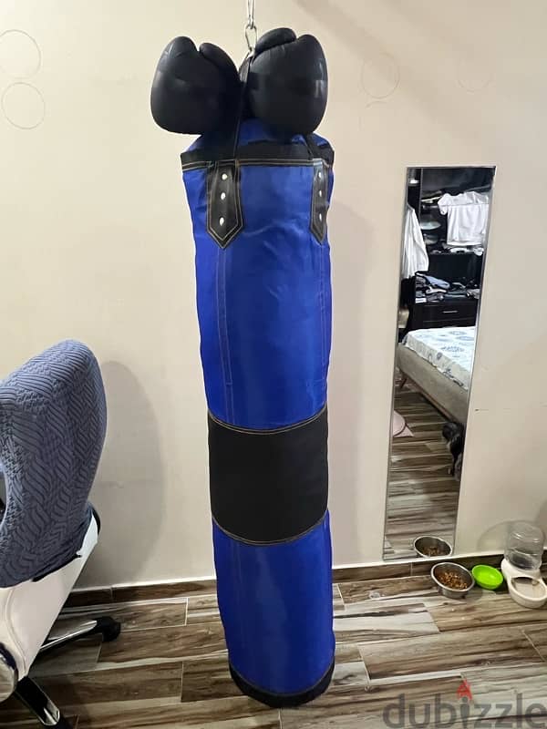 punching bag & gloves 2
