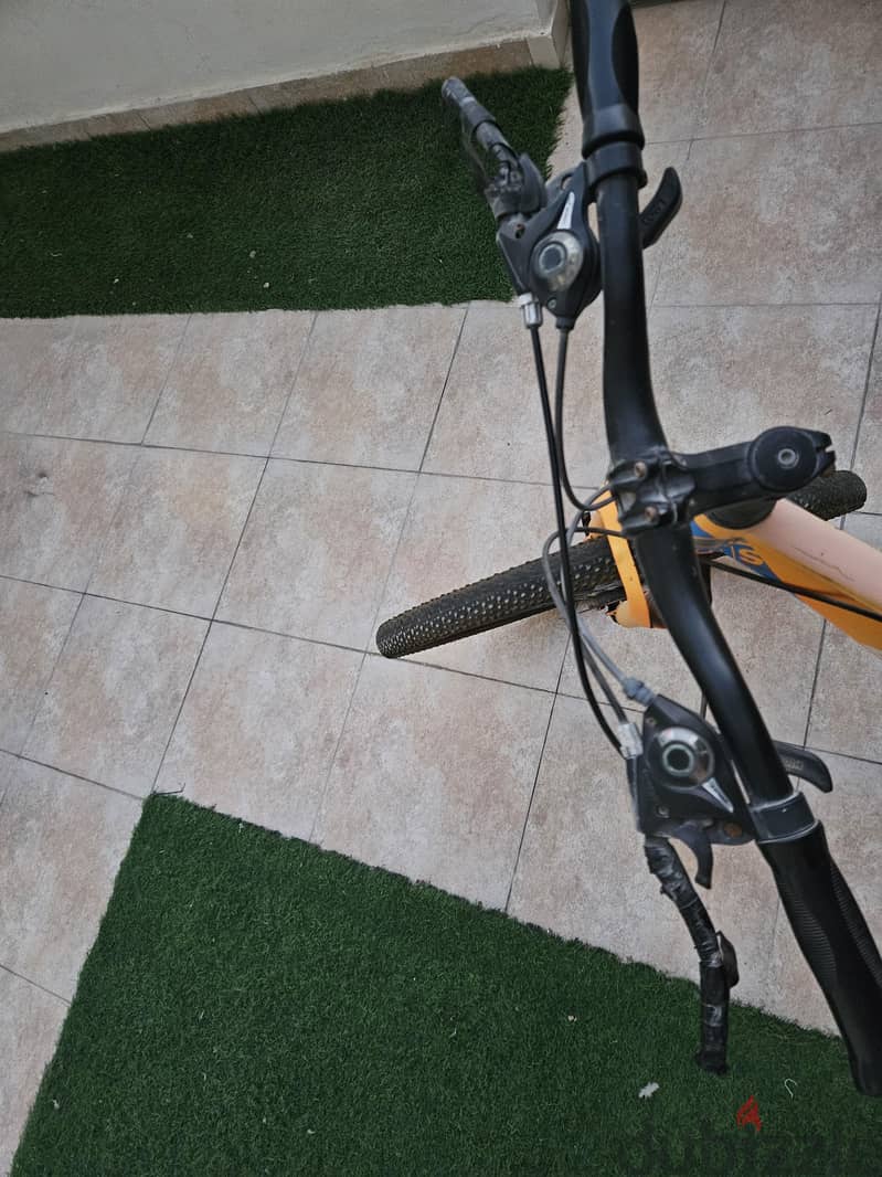 For sale: Bicycle 1