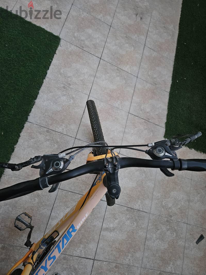 For sale: Bicycle 2