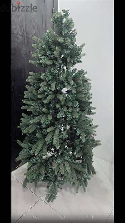 Christmas tree for sale
