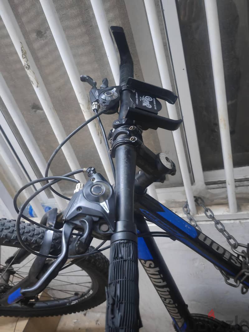 bicycle 1