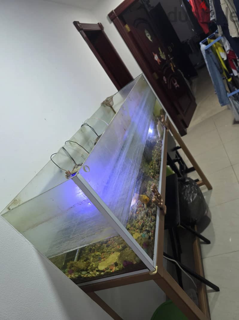 Fish Tank with stand 1