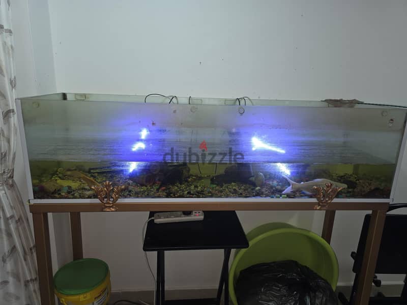Fish Tank with stand 3