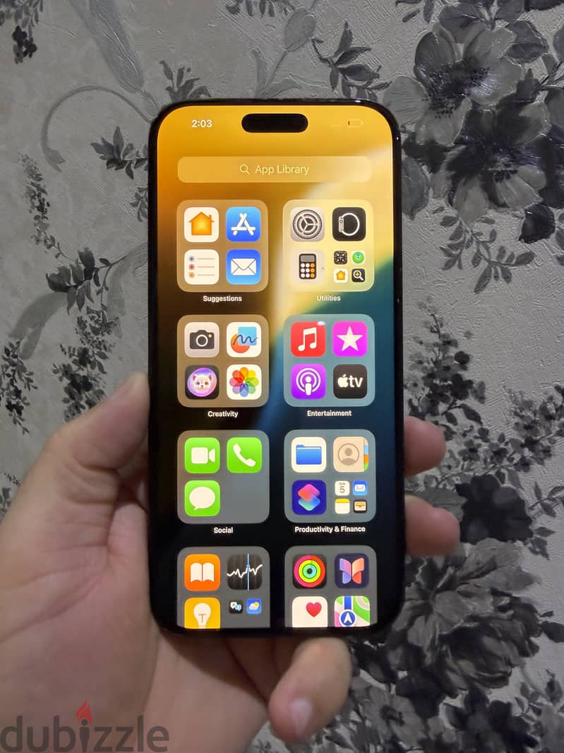 iPhone 16 Pro Max Titanium | 256GB  | 89%   |screen changed  iPhone 1