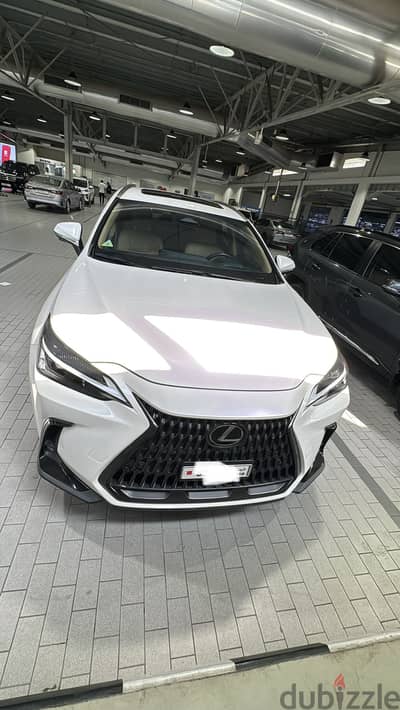 Lexus NX 2022