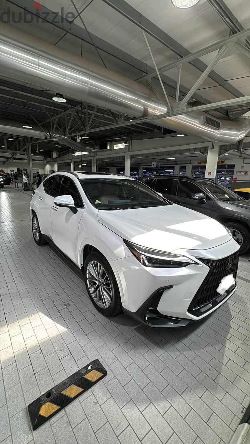Lexus NX 2022 5