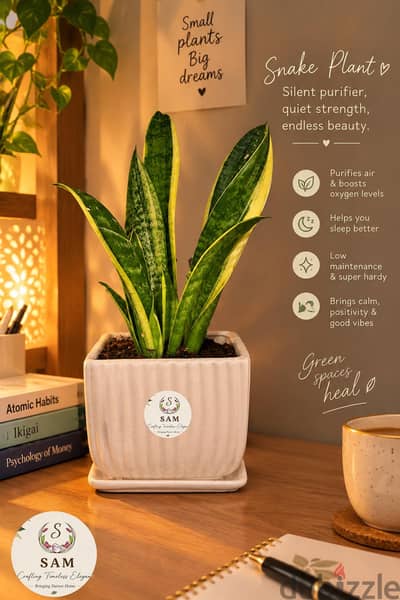 beautiful plants in diffrent fonts