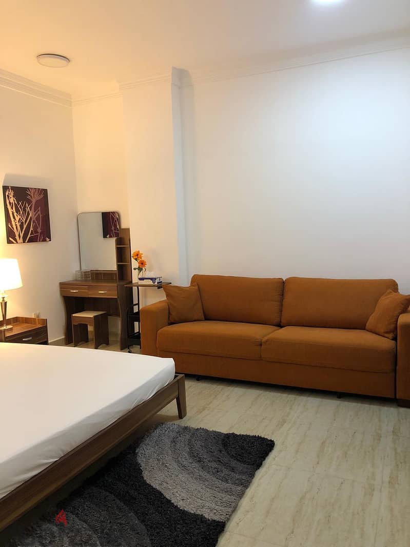 One bedroom apartment 2