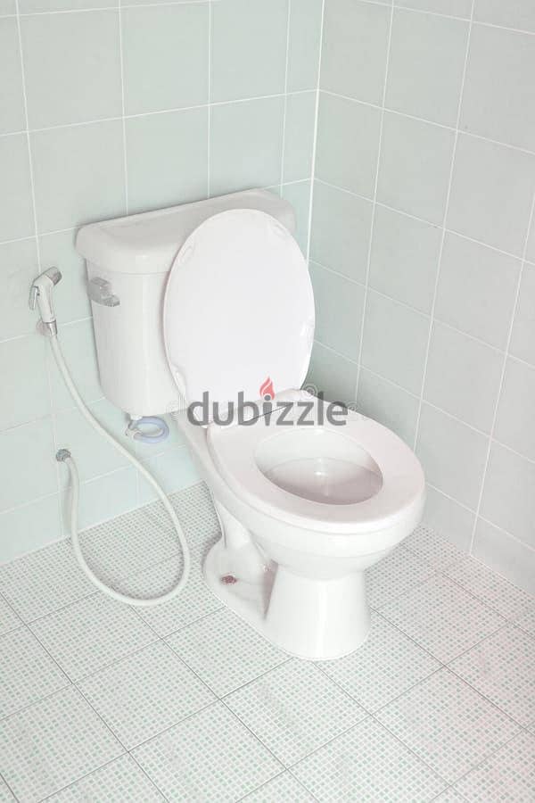 plumber electrician carpenter paint tiles fixing all work home sarives 8