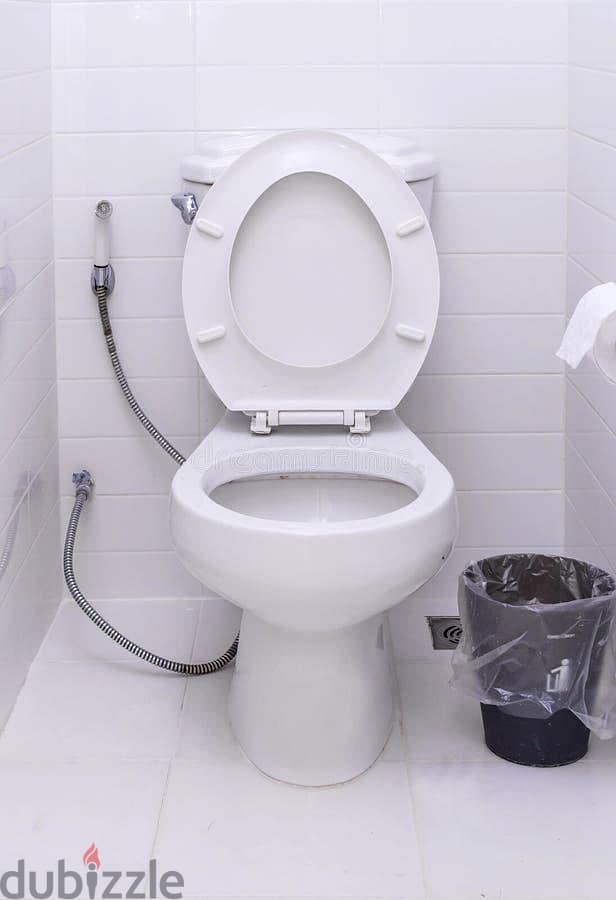 plumber electrician carpenter paint tiles fixing all work home sarives 10