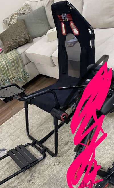 Next level racing GT light