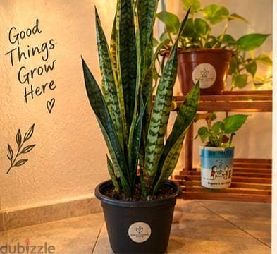 cozzy corner with all stuff 1
