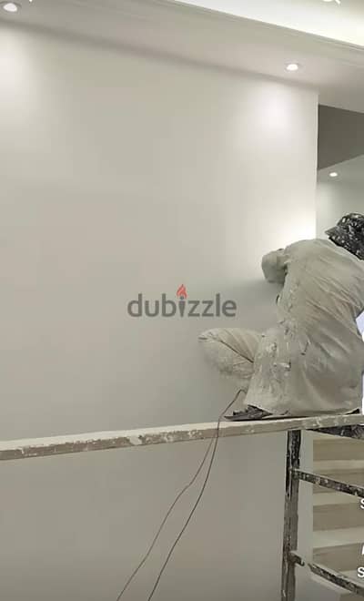 Professional Painter service and Paint Contractor  66342067